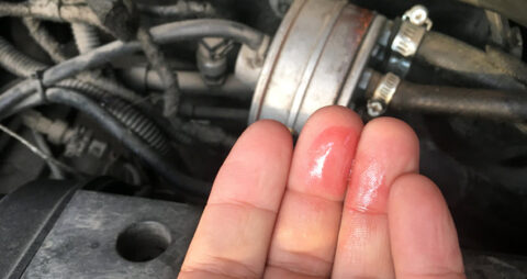 Dos & Don'ts When Your Audi Leaks Antifreeze in Brooklyn